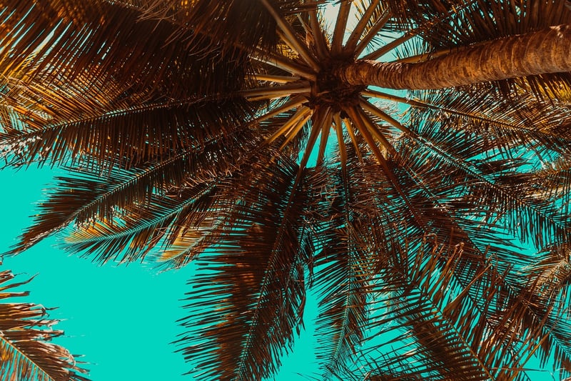 Bali Beach